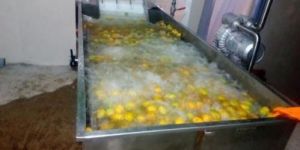 Mango Pulp Processing Plant
