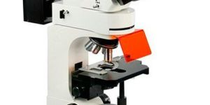 Fluorescent Microscope
