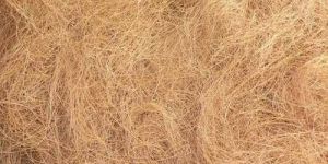 Coir Fiber