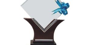 Corporate Trophy