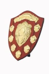 Brass Shield