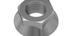 Hex Flange Nut