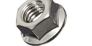 SS Flange Nut