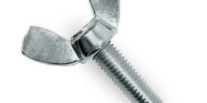 SS Wing Bolt