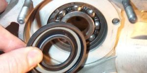 Crankshaft Oil Seal