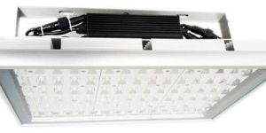 Industrial LED Lights