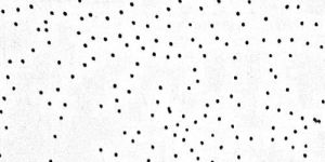 Mineral Fiber Ceiling Tiles