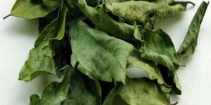 Dried Curry Leaves
