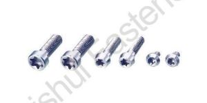 Stainless Steel Screws
