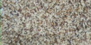 Walnut Kernels