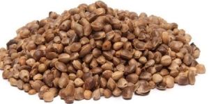 Hemp Seeds