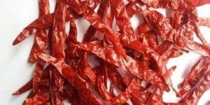 Dry Red Wrinkle Chili