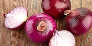 Onion