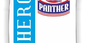 Panther Hero Synthetic Resin Adhesive