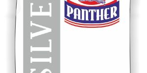 Panther Silver Synthetic Resin Adhesive