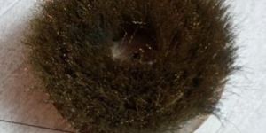 Brass Round Wire Brush