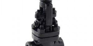AV-301 F.C.S. (A105) Gate Valve