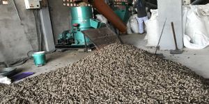 Pellet Plant