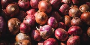 Fresh Onion