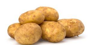 Fresh Potato