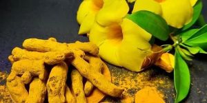 Turmeric Finger