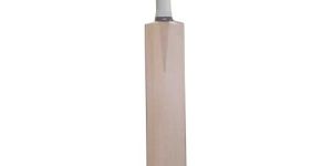 a Grade Kashmir Willow Cricket Bat