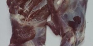 Lamb Shoulder
