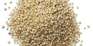 Quinoa Seeds