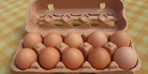 Organic Eggs