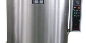 Tomato Ketchup Plant