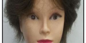 Woman Short Hair Wig