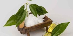 Camphor Oil