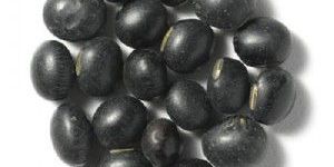 Black Soybean