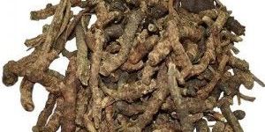 Dried Kutki Root