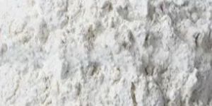 Dehydrated Onion Powder