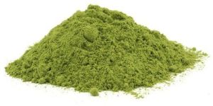 Moringa Leaves Powder