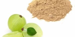 Organic Amla Powder