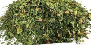 Dried Coriander Leaves