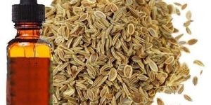 Celery Seeds Oil