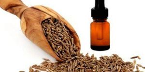 Cumin Seed Oil