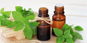 Tulsi Oil