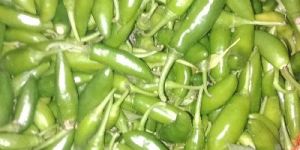 Green Chili