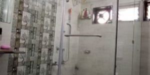 Tempered Shower Glass