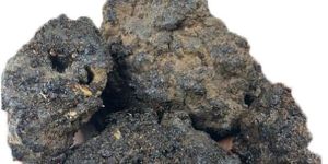 Shilajit Stone