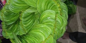 Betel Leaf