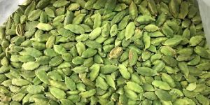 Green Cardamom