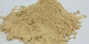 Dehydrated Garlic Powder