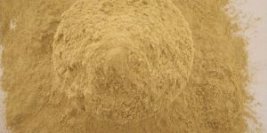 Dehydrated Ginger Powder