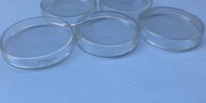 Petri Dish