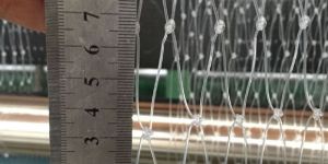 Bird Protection Net